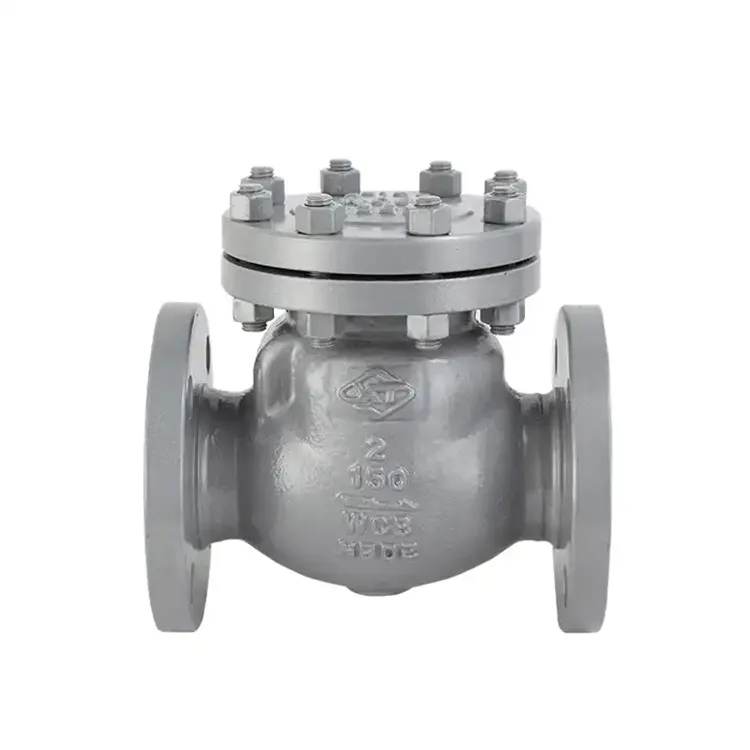 1 inčni nepovratni nepovratni ventil