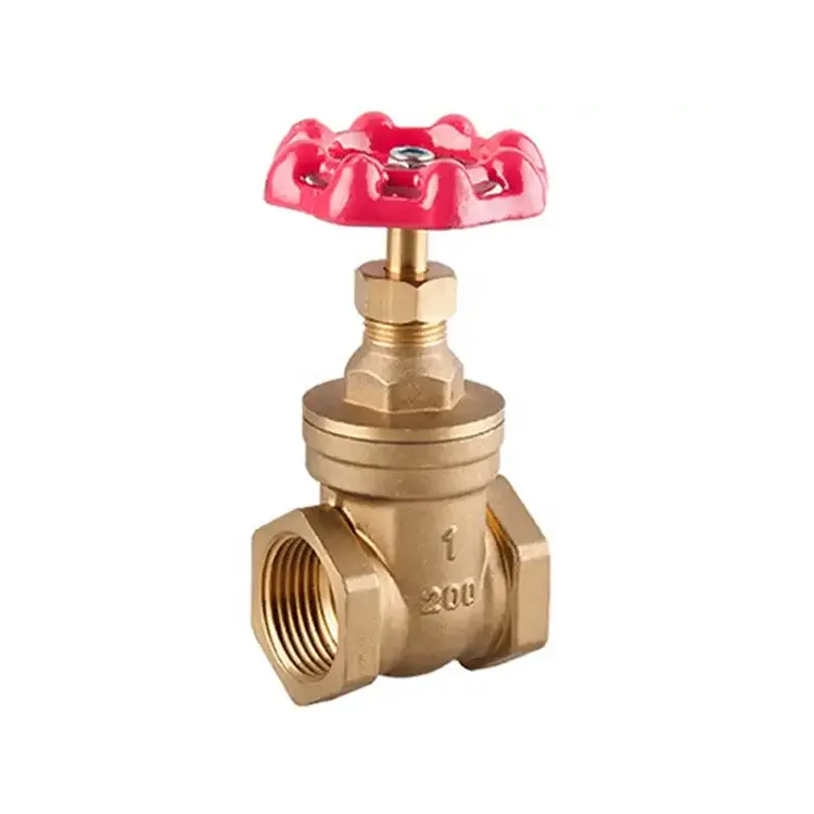 Brass Globe Valve